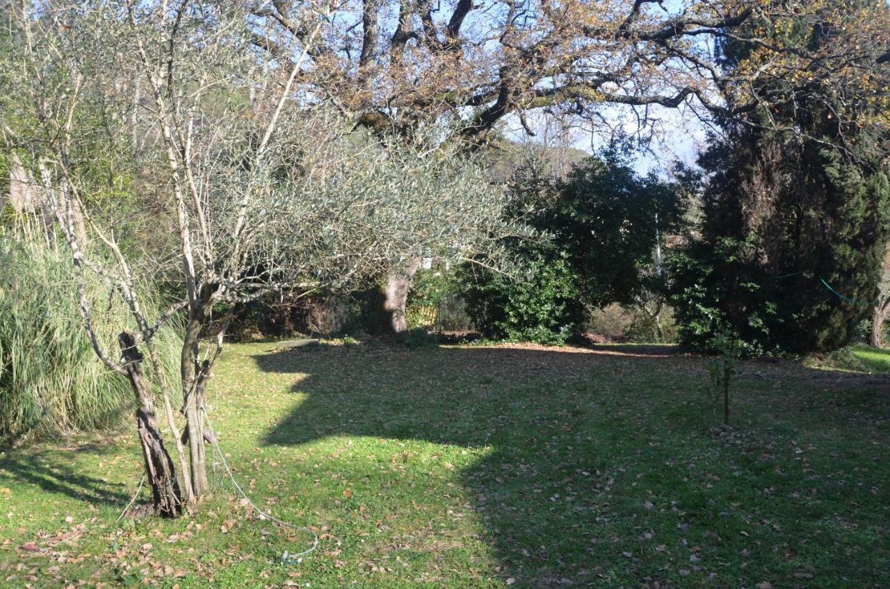 Апартаменти Il Giardino Secreto Manziana Екстер'єр фото
